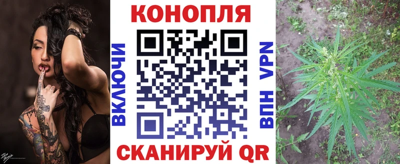Бошки Шишки Amnesia  Карабаново 